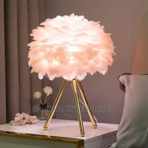 Led Feather Night Light
