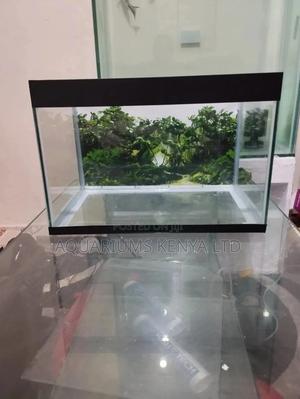 Small Affordable Aquarium - thumbnail 2