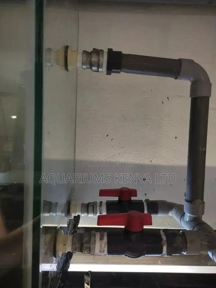 Aquarium Sump Filtration Installation