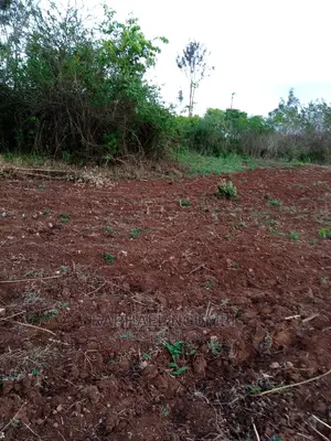 14 Acres at Kithyoko