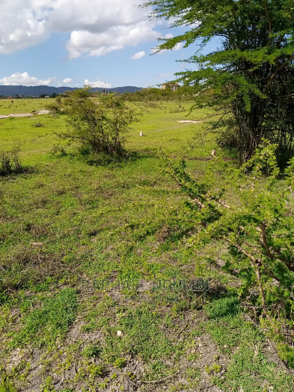 14 Acres at Kithyoko