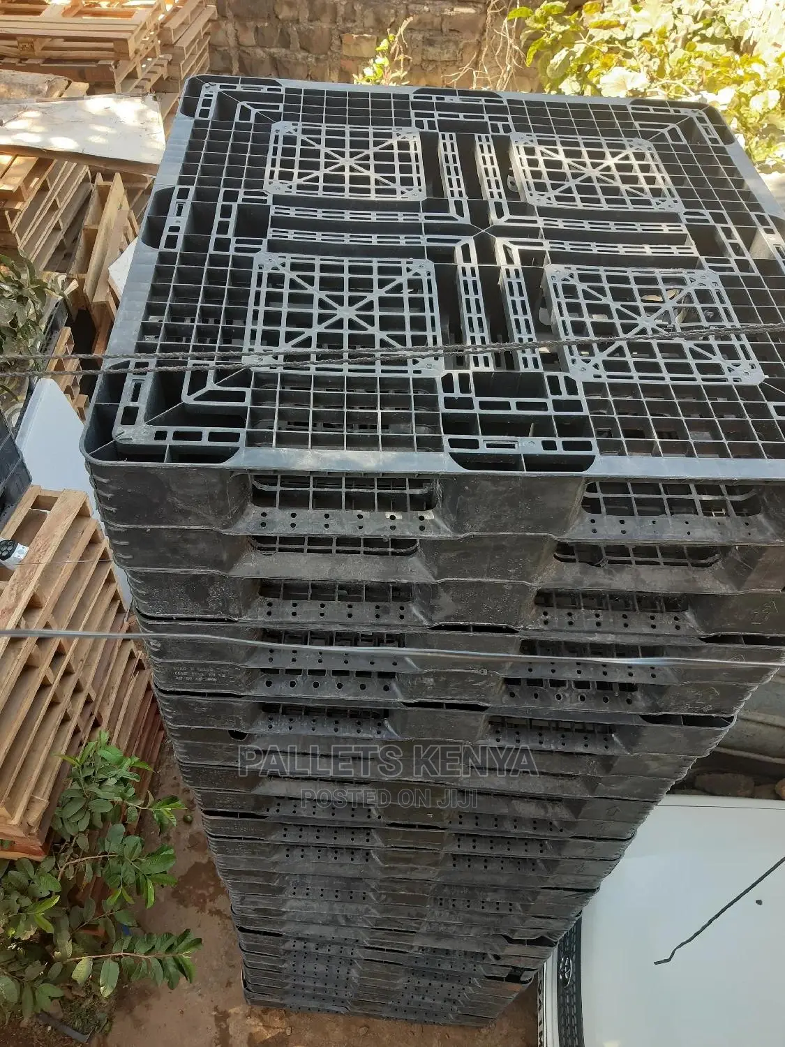 Plastic Used Pallets- 09