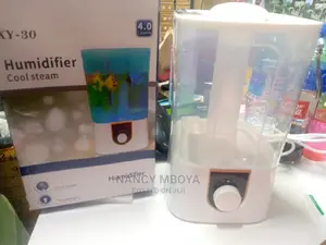 4 Litres Aroma Humidifier