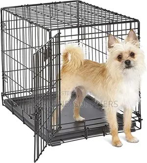 Small Sized Meshed Crate