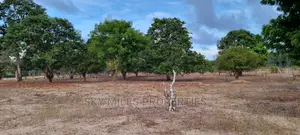 3 Acre Land on Sale in Mtwapa