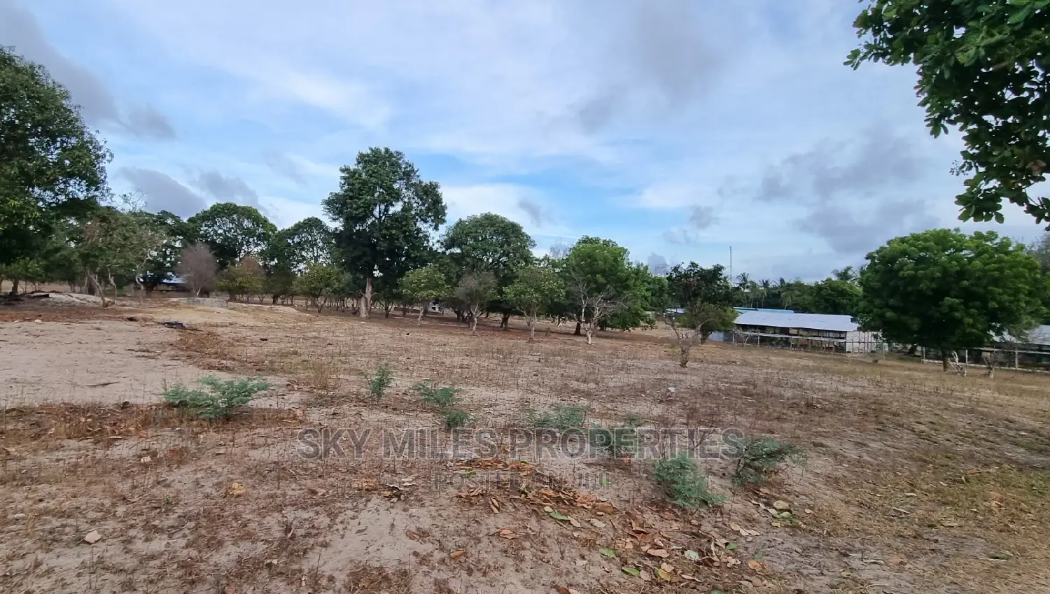 3 Acre Land on Sale in Mtwapa