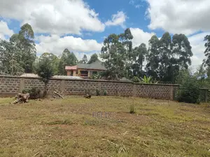 Karatina/ Ragati Kiarithaiini Junction 50/100 Plots