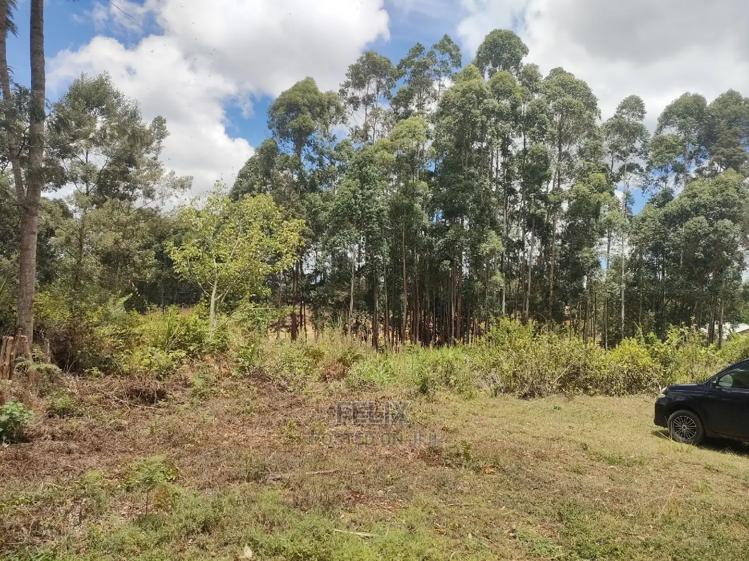 Karatina/ Ragati Kiarithaiini Junction 50/100 Plots