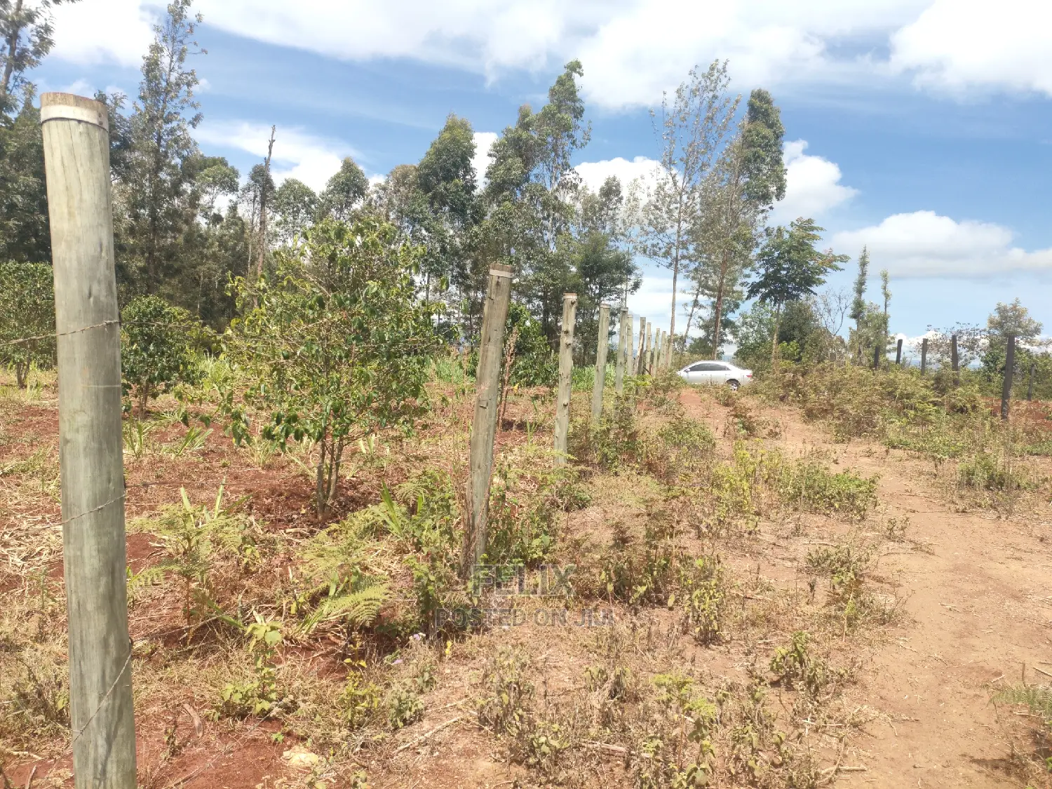 Karatina / Grandkago Quota Plot