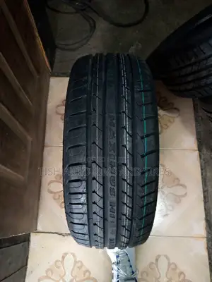 225/45r17 Maxmus