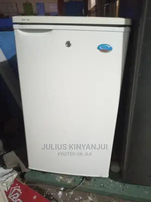 Mini Fridge 120l