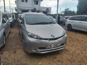 Toyota Wish 2010 Gray