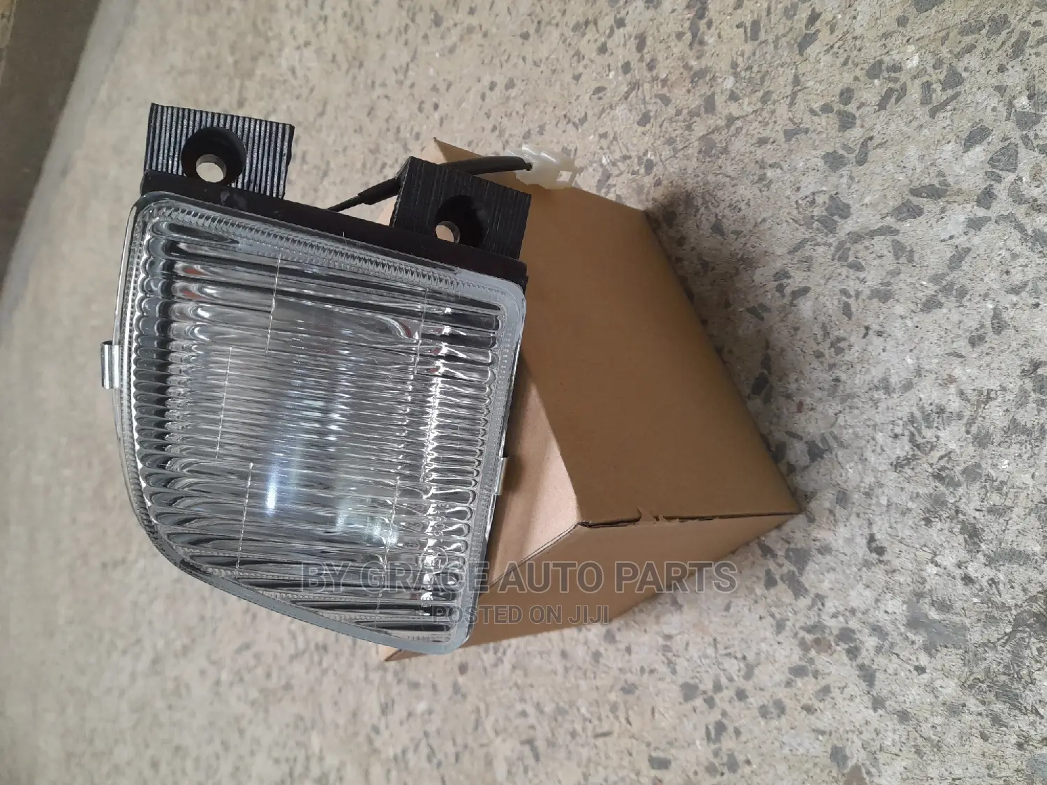 Fog Lamp Lights Shark