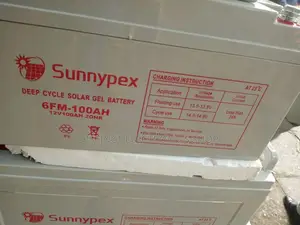 Sunnyplex Dc Battery 12v 100ah
