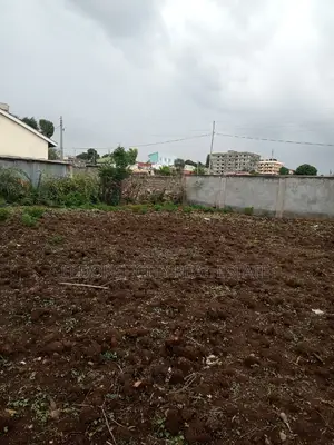 1/4 Plot West Indies With Title