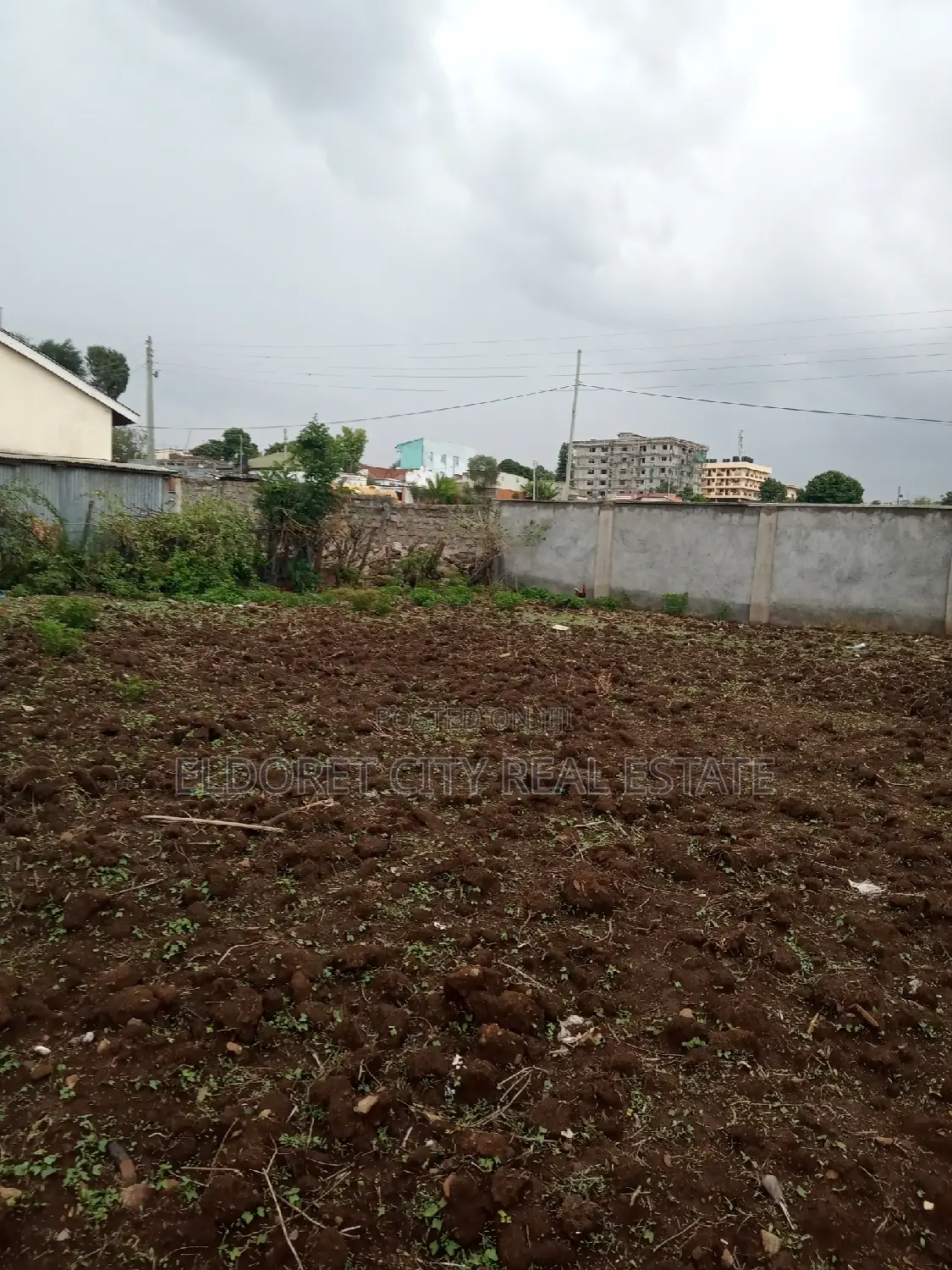 1/4 Plot West Indies With Title