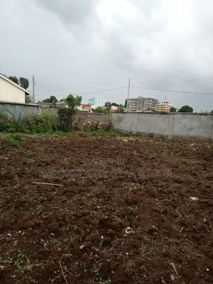 1/4 Plot West Indies With Title