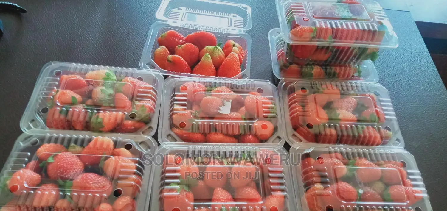 Strawberries Seedlings And Fruits