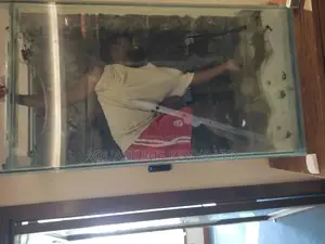 Aquarium Cleaning Services.