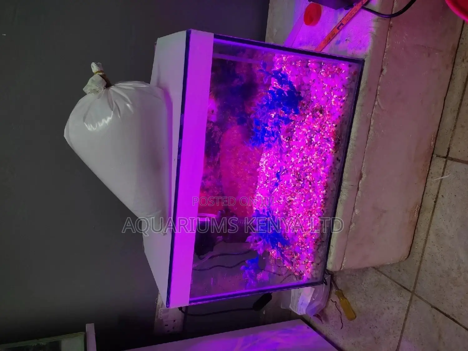 Complete Small Budget Aquarium