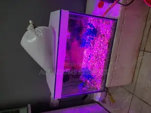 Complete Small Budget Aquarium