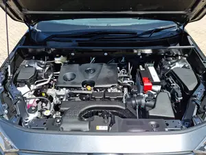 Toyota RAV4 2019 Gray