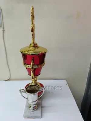 Trophy for Awarding