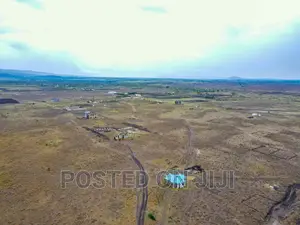 Plots for Speculation. ^EM