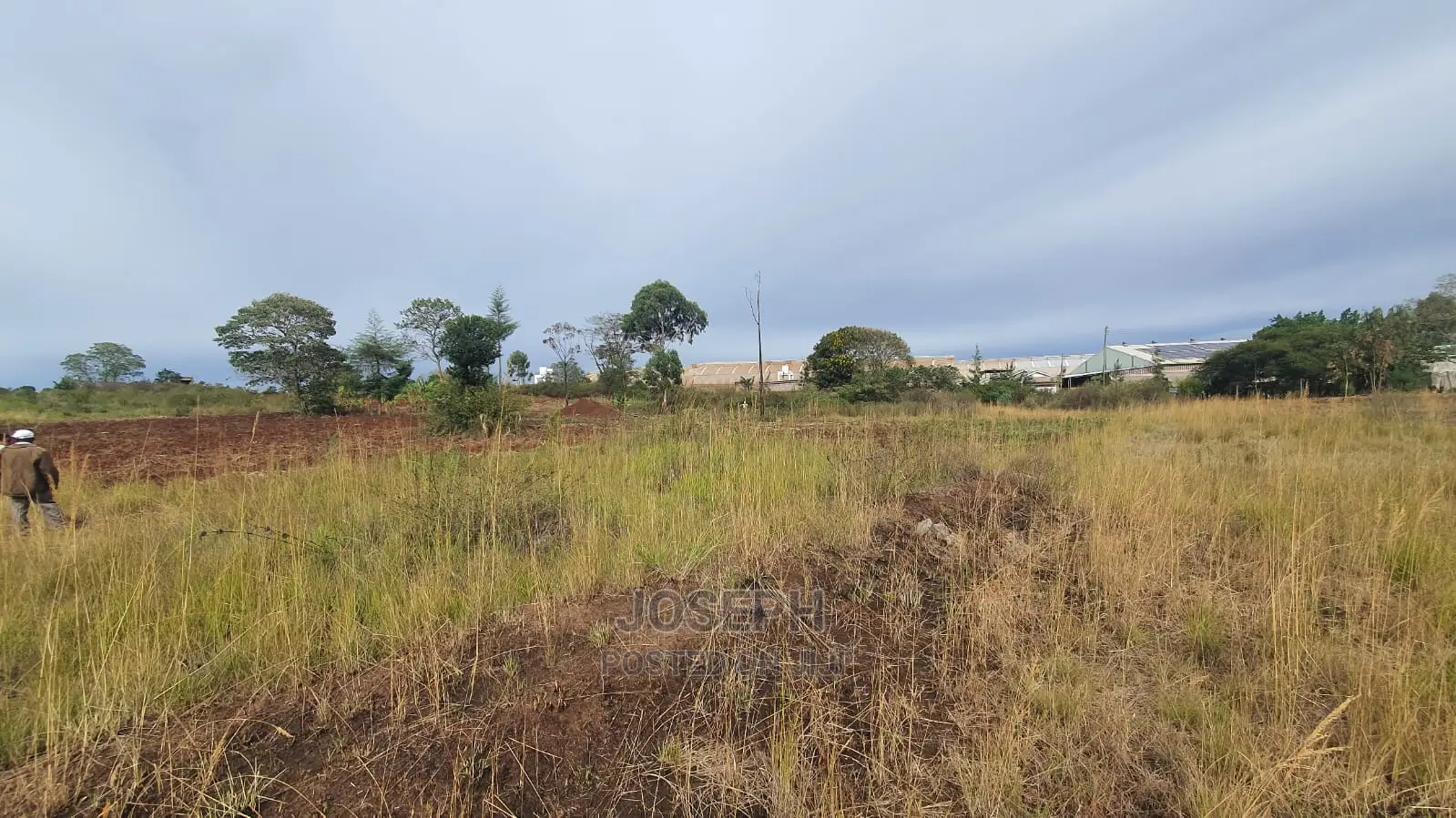 Thika Westwood Meadows(Karangaita) 1/2 Acre Plot