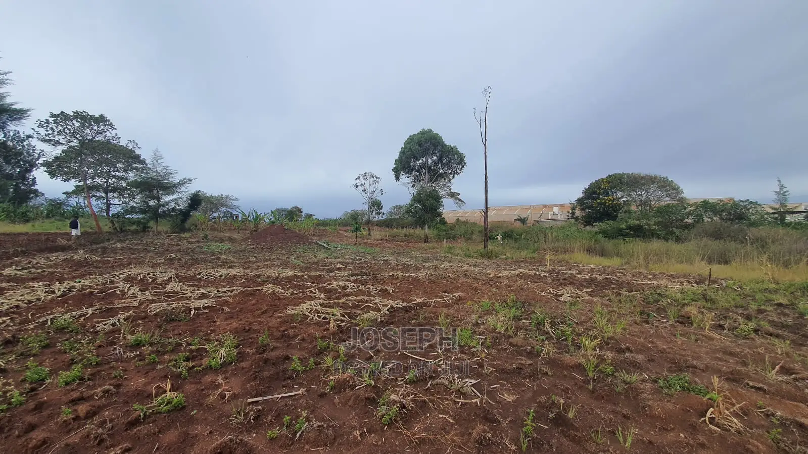Thika Westwood Meadows(Karangaita) 1/2 Acre Plot