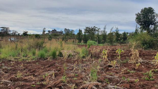 Thika Westwood Meadows(Karangaita) 1/2 Acre Plot - thumbnail 7