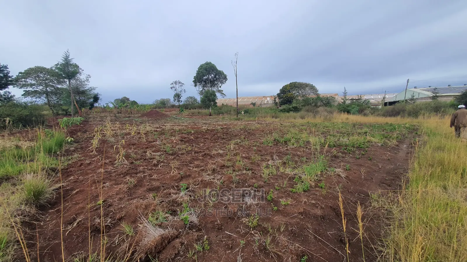 Thika Westwood Meadows(Karangaita) 1/2 Acre Plot
