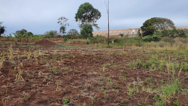 Thika Westwood Meadows(Karangaita) 1/2 Acre Plot - thumbnail 9
