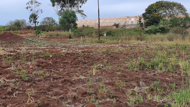 Thika Westwood Meadows(Karangaita) 1/2 Acre Plot - thumbnail 10