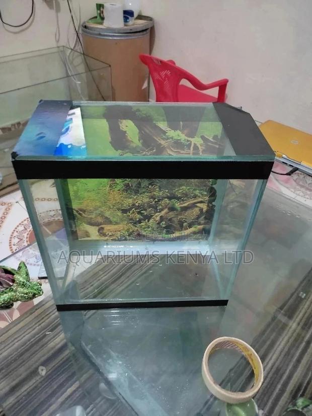 Mini Aquarium 10 Litres , Children Aquarium - main view