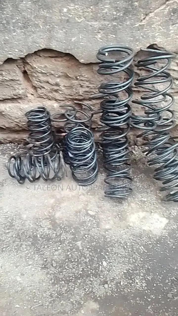 Heavy Duty Springs for Nissan Tiida,Note,March