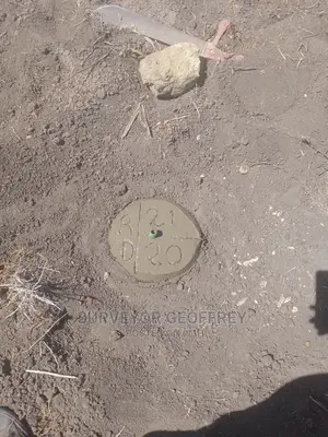 Land Surveyor