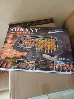 Electric Barbecue Grill