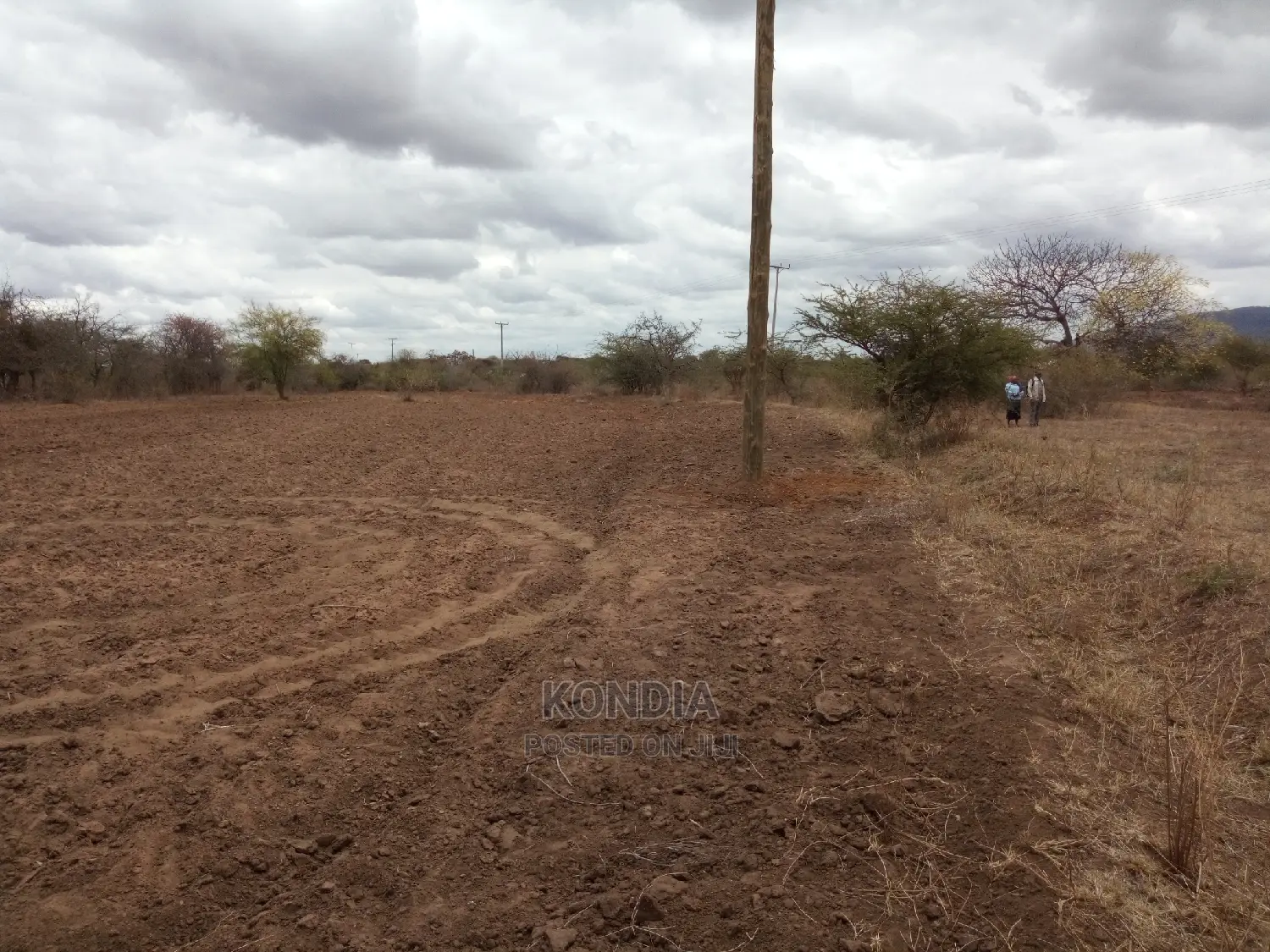 Matuu Land Plots