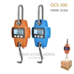 Maize Weighing Scale Crane Scale Weighing 300kgs