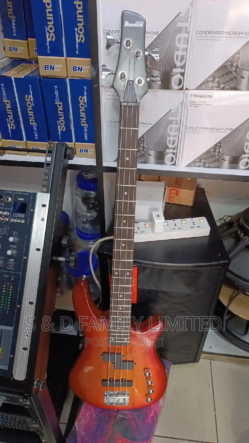 4 String Bass Guitar