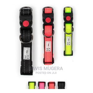 Golden Panda Safety Lock Adjustable Dog Collar - thumbnail 2