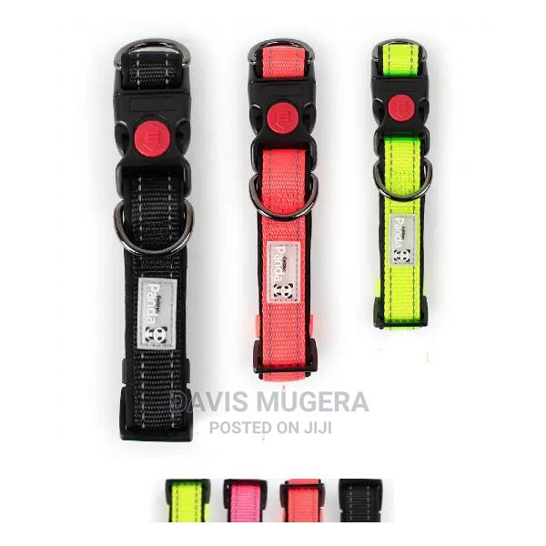 Golden Panda Safety Lock Adjustable Dog Collar - main view