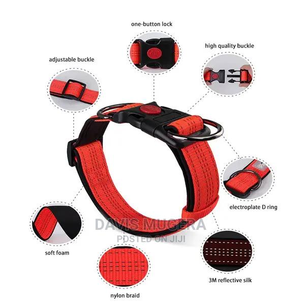 Golden Panda Safety Lock Adjustable Dog Collar - thumbnail 3