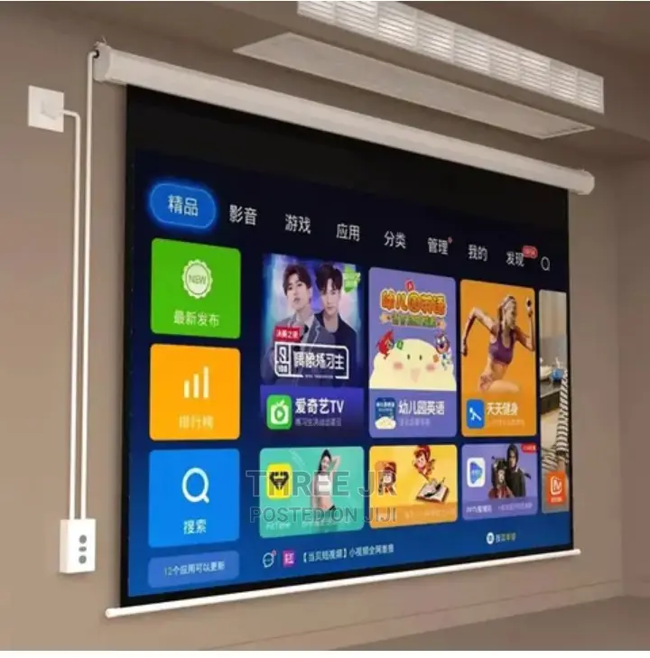 Remote Controlled Projection Screen Mounted on the Wall