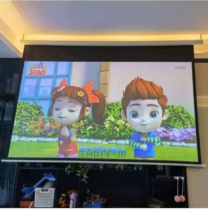 Do Not Project on the Wall.We Have Quality Screens