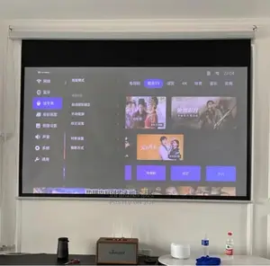 Do Not Project on the Wall.We Have Quality Screens