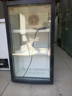 Display Fridge 120l