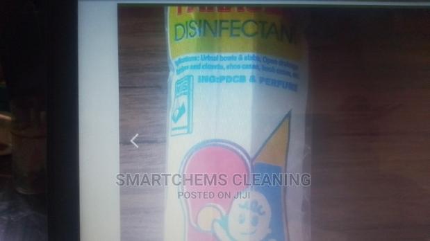 Toilet Balls - main view