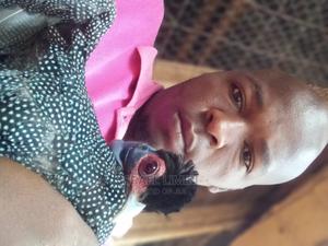 Guinefowl Crested - main view